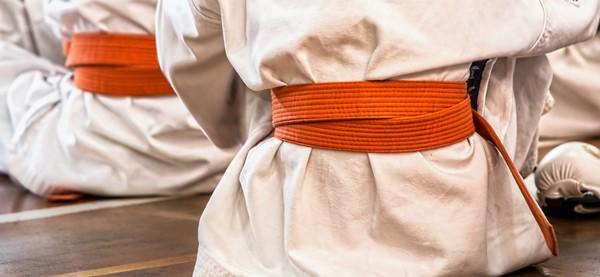 Les grades de ceinture (Obi, kyu, dan, menkyo,...) - e-tao.ca