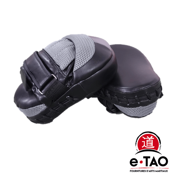 CIBLE DE FRAPPE - FOCUS PADS/MITTS