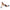 "Ab Roller" Rouleau abdominal